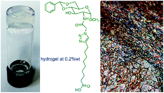 Graphical abstract: Synthesis and characterization of amide linked triazolyl glycolipids as molecular hydrogelators and organogelators
