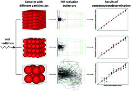 Graphical abstract: Investigation of the particle size-dependent near-infrared spectral features of binary mixture samples in conjunction with Monte Carlo simulation and the influence of particle size on the accuracy of quantitative analysis