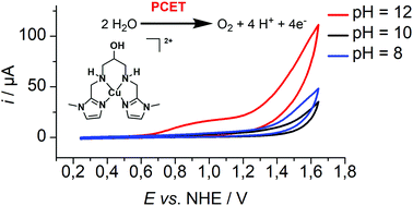 Graphical abstract: Electrochemical water oxidation using a copper complex