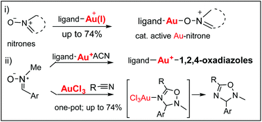 Graphical abstract: Studies on gold–nitrone systems