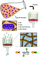 Graphical abstract: Repurposing bacterial extracellular matrix for selective and differential abstraction of rare earth elements