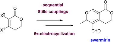 Graphical abstract: Total synthesis of (±)-swermirin