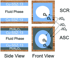 Graphical abstract: Modeling and analysis of transport and reaction in washcoated monoliths: Cu-SSZ-13 SCR and dual-layer Cu-SSZ-13 + Pt/Al2O3 ASC