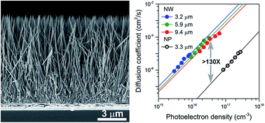 Graphical abstract: Length-independent charge transport of well-separated single-crystal TiO2 long nanowire arrays