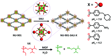 Graphical abstract: Single-component frameworks for heterogeneous catalytic hydrolysis of organophosphorous compounds in pure water