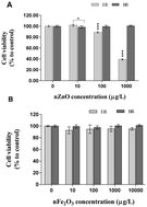 Graphical abstract: Toxicity of zinc oxide and iron oxide engineered nanoparticles to Bacillus subtilis in river water systems