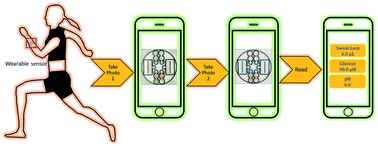 Graphical abstract: A versatile, cost-effective, and flexible wearable biosensor for in situ and ex situ sweat analysis, and personalized nutrition assessment