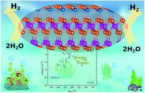 Graphical abstract: Interfacial aspect of ZnTe/In2Te3 heterostructures as an efficient catalyst for the hydrogen evolution reaction