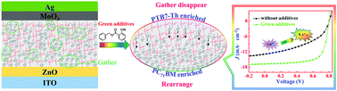 Graphical abstract: Non-toxic green food additive enables efficient polymer solar cells through adjusting the phase composition distribution and boosting charge transport