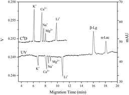 Graphical abstract: Capillary electrophoresis with dual C4D/UV detection for simultaneously determining major metal cations and whey proteins in milk