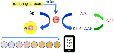 Graphical abstract: Smartphone based highly sensitive visualized detection of acid phosphatase enzyme activity