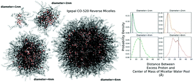 Graphical abstract: Interfacial solvation and slow transport of hydrated excess protons in non-ionic reverse micelles