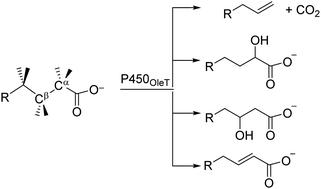 Graphical abstract: How external perturbations affect the chemoselectivity of substrate activation by cytochrome P450 OleTJE