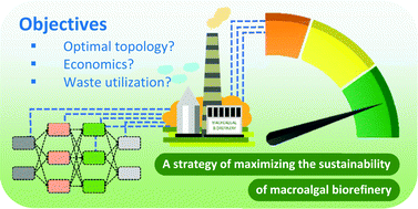 Graphical abstract: Maximizing the sustainability of a macroalgae biorefinery: a superstructure optimization of a volatile fatty acid platform