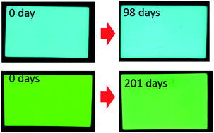 Graphical abstract: The influence of the interfacial layer on the stability of all-solution-processed organic light-emitting diodes