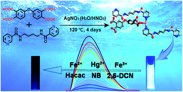Graphical abstract: A pH-stable Ag(i) multifunctional luminescent sensor for the efficient detection of organic solvents, organochlorine pesticides and heavy metal ions