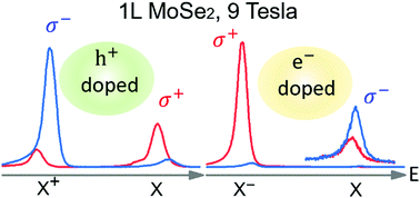 Graphical abstract: Negative valley polarization in doped monolayer MoSe2