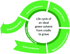 Graphical abstract: Sustainability of green solvents – review and perspective