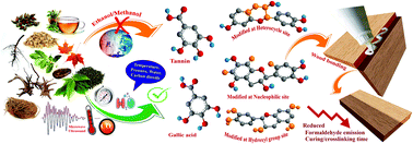 Graphical abstract: Tannin as a renewable raw material for adhesive applications: a review