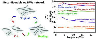 Graphical abstract: An autonomously ultrafast self-healing, highly colourless, tear-resistant and compliant elastomer tailored for transparent electromagnetic interference shielding films integrated in flexible and optical electronics