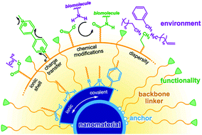 Graphical abstract: Organic building blocks at inorganic nanomaterial interfaces