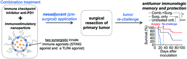 Graphical abstract: Dual agonist immunostimulatory nanoparticles combine with PD1 blockade for curative neoadjuvant immunotherapy of aggressive cancers