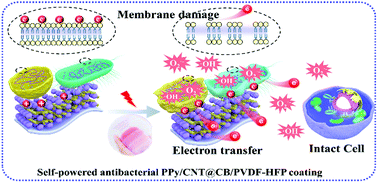 Graphical abstract: A healing promoting wound dressing with tailor-made antibacterial potency employing piezocatalytic processes in multi-functional nanocomposites