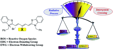 Graphical abstract: New Cy5 photosensitizers for cancer phototherapy: a low singlet–triplet gap provides high quantum yield of singlet oxygen