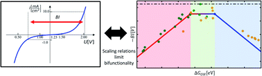 Graphical abstract: The bifunctional volcano plot: thermodynamic limits for single-atom catalysts for oxygen reduction and evolution