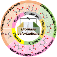 Graphical abstract: Recent developments in electrode materials for the selective upgrade of biomass-derived platform molecules into high-value-added chemicals and fuels