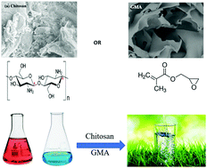 Graphical abstract: Chitosan- or glycidyl methacrylate-based adsorbents for the removal of dyes from aqueous solutions: a review
