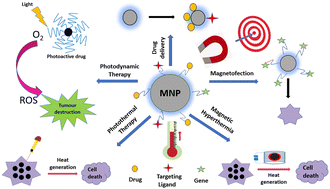 Graphical abstract: Therapeutic applications of magnetic nanoparticles: recent advances