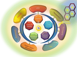 Graphical abstract: Silicon quantum dots: surface matter, what next?