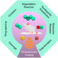 Graphical abstract: Activatable organic photoacoustic probes for in vivo anion imaging