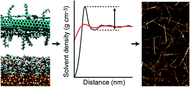 Graphical abstract: A simple simulation-derived descriptor for the deposition of polymer-wrapped carbon nanotubes on functionalized substrates