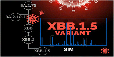 Graphical abstract: Distinguishing common SARS-CoV2 omicron and recombinant variants with high resolution mass spectrometry