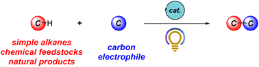 Graphical abstract: C–C bond formation via photocatalytic direct functionalization of simple alkanes