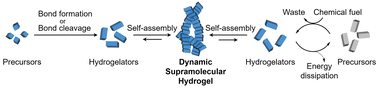 Graphical abstract: Dynamic supramolecular hydrogels mediated by chemical reactions