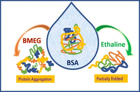 Graphical abstract: Assessing the impact of choline chloride and benzyltrimethylammonium chloride-based deep eutectic solvents on the structure and conformational dynamics of bovine serum albumin: a combined steady-state, time-resolved fluorescence and fluorescence correlation spectroscopic study