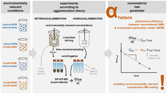 Graphical abstract: A versatile test system to determine nanomaterial heteroagglomeration attachment efficiency