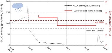 Graphical abstract: The potential of near real-time monitoring of β-d-glucuronidase activity to establish effective warning systems in urban recreational waters