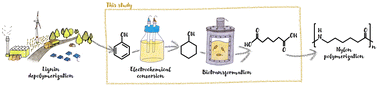 Graphical abstract: Integrated electrosynthesis and biosynthesis for the production of adipic acid from lignin-derived phenols