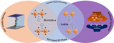 Graphical abstract: Resistive switching in benzylammonium-based Ruddlesden–Popper layered hybrid perovskites for non-volatile memory and neuromorphic computing