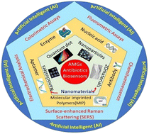 Graphical abstract: Current advancement in nanomaterial-based emerging techniques for the determination of aminoglycosides antibiotics for antibiotic resistance surveillances