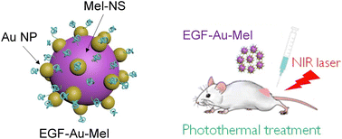 Graphical abstract: Cancer-targeting gold-decorated melanin nanoparticles for in vivo near-infrared photothermal therapy