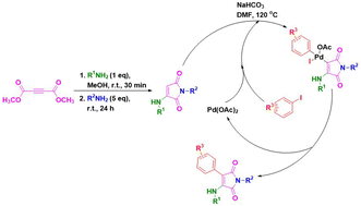 Graphical abstract: Developing a straightforward route toward the synthesis of arylaminomaleimides by palladium-catalyzed arylation of one-pot synthesized aminomaleimides