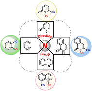 Graphical abstract: Directing group-assisted selective C–H activation of six-membered N-heterocycles and benzo-fused N-heterocycles