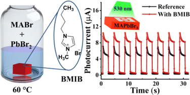 Graphical abstract: Ionic liquid-assisted growth of high-quality methylammonium lead bromide single crystals for photodetection applications