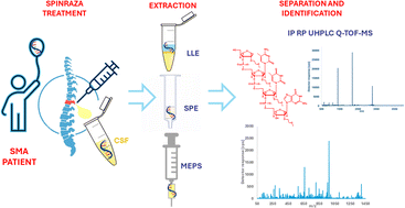 Graphical abstract: Study of nusinersen metabolites in the cerebrospinal fluid of children with spinal muscular atrophy using ultra-high-performance liquid chromatography coupled with quadrupole-time-of-flight mass spectrometry