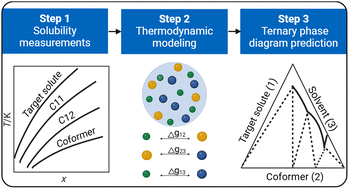Graphical abstract: Predicting the solid–liquid phase diagram of a ternary system with cocrystal formation